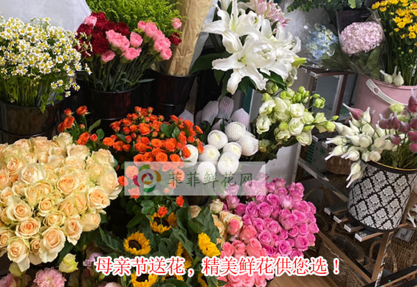 2024广州白云区母亲节送花,广州白云区精美鲜花供您选!
